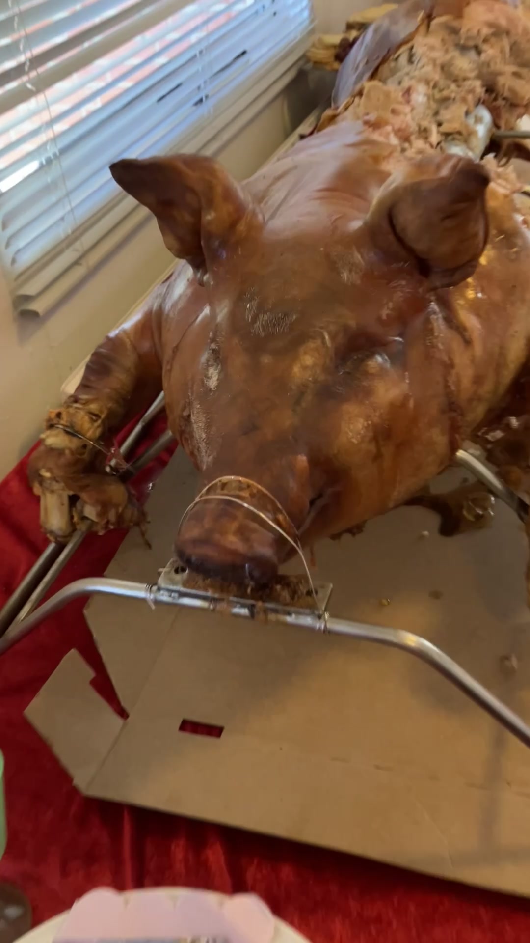 Tæt på den helstegte pattegris