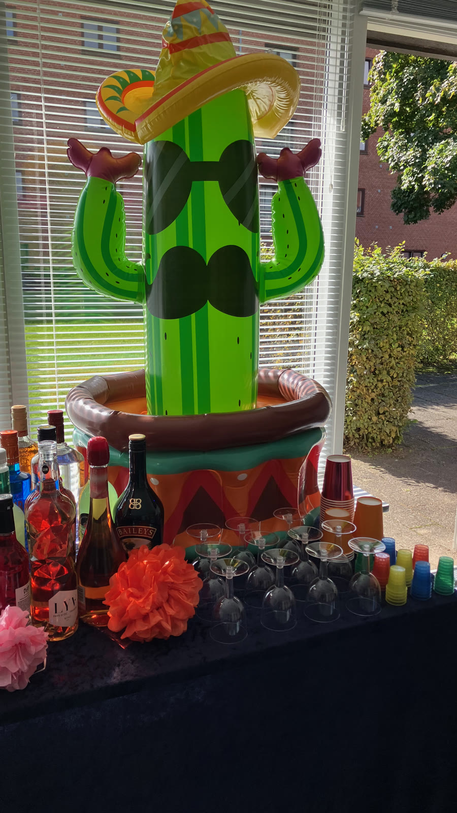 Oppustelig kaktus med sombrero på baren